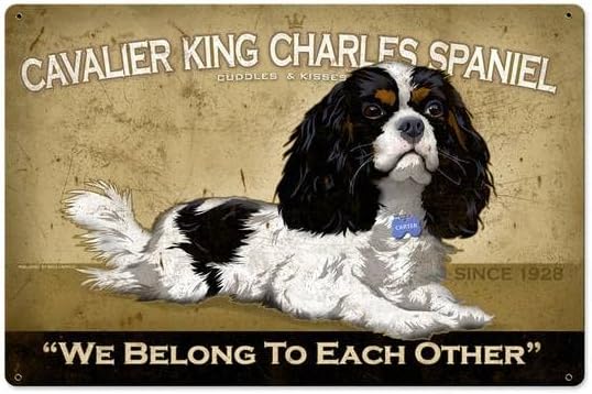 Home Decor Shop - Retro Metal Tin Sign Cavalier King