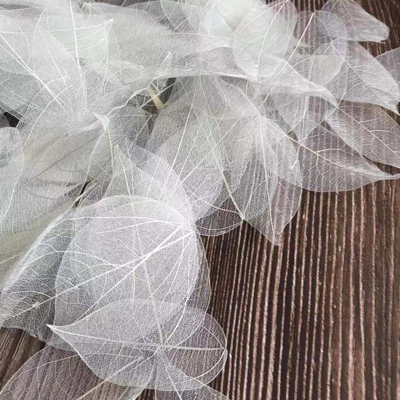 Dried Flower Bouquet - 5~9CM*2~3.5CM,100PCS/Set,Real Dried Natural Vajra Leaf Vein,Pressed
