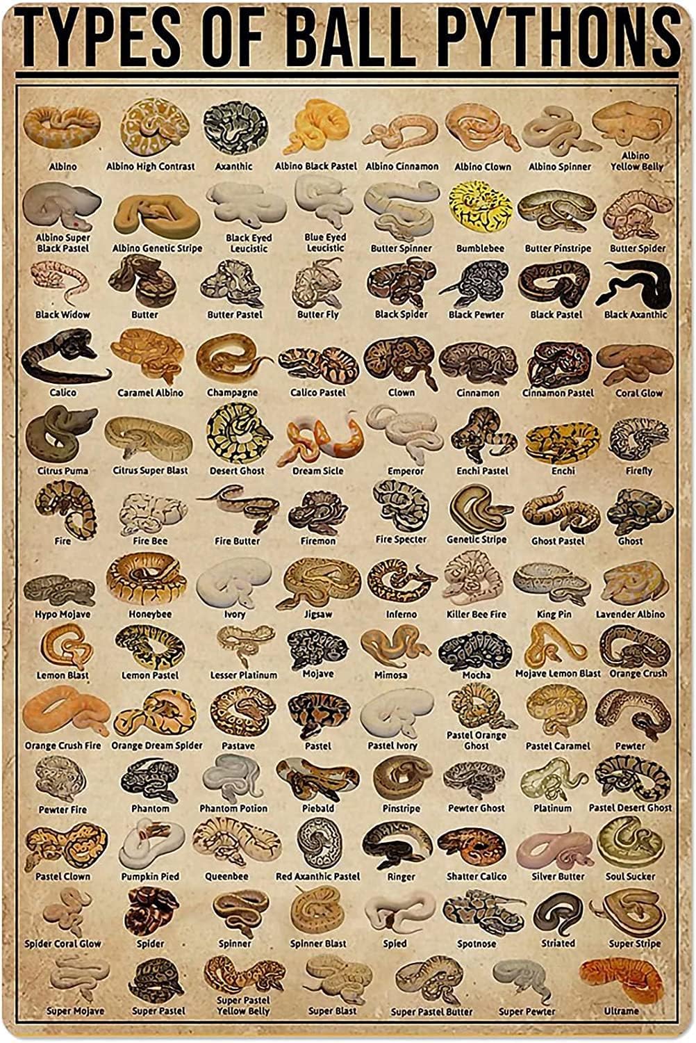 Home Decor Shop - Retro Metal Tin Sign Types of