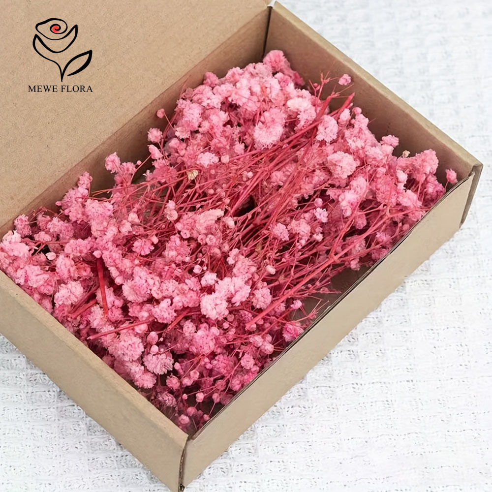 Dried Flower Bouquet - 100 Small Branch Dried Baby's Breath