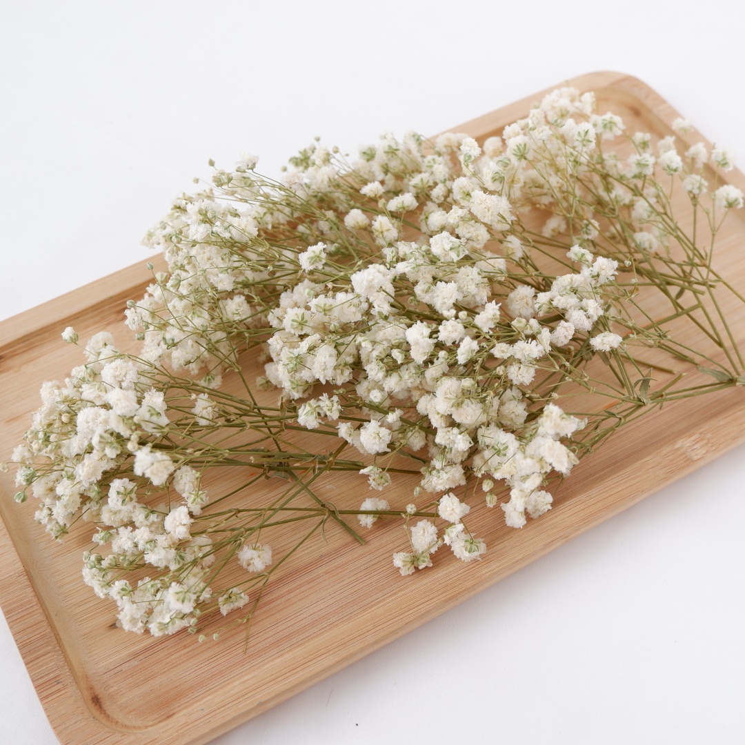 Dried Flowers White Mini Dried - огляд і ціна Dried Flower Bouquet