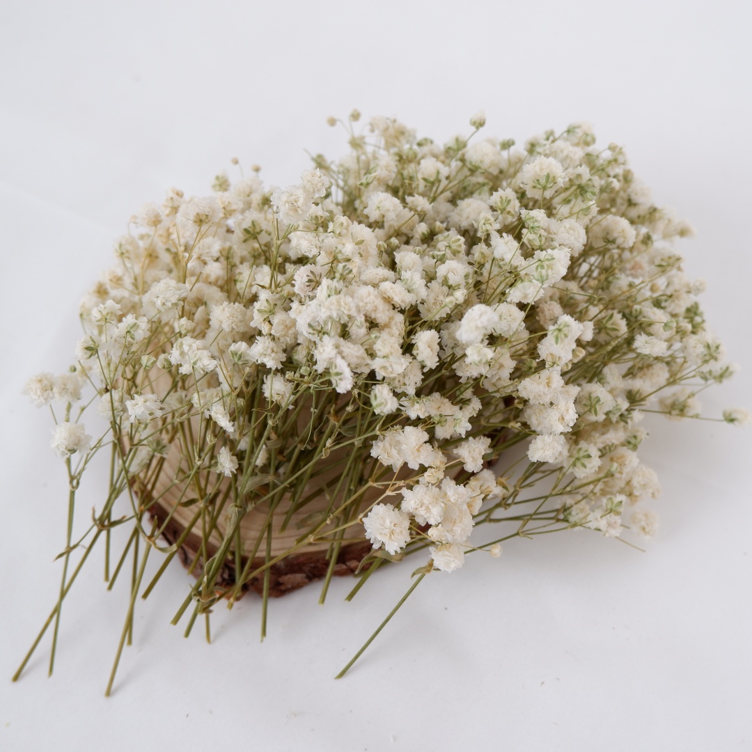 Dried Flowers White Mini Dried - огляд і ціна Dried Flower Bouquet