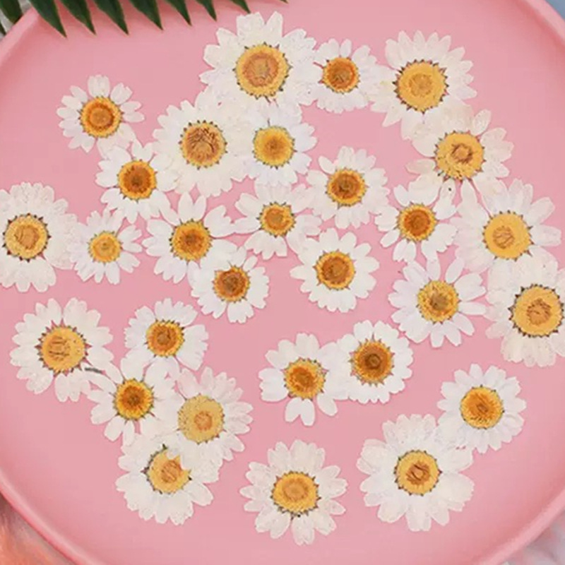 100Pcs Natural White Crystal C - огляд і ціна Dried Flower Bouquet
