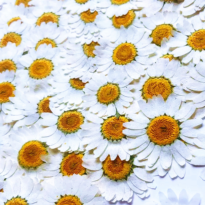 100Pcs Natural White Crystal C - огляд і ціна Dried Flower Bouquet