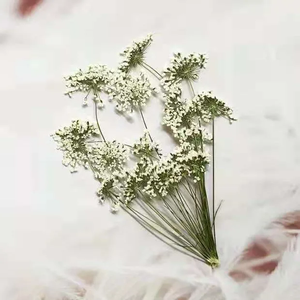5-7cm/12pcs,Snow Tiny Flowers  - огляд і ціна Dried Flower Bouquet