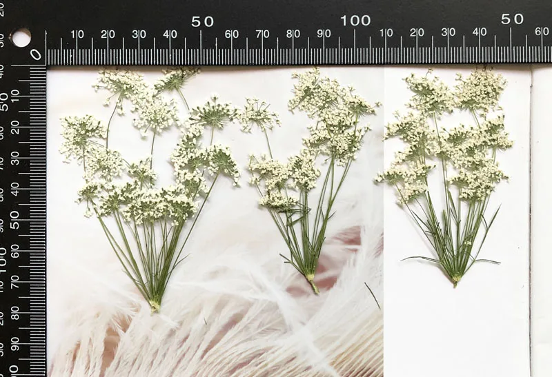 5-7cm/12pcs,Snow Tiny Flowers  - огляд і ціна Dried Flower Bouquet