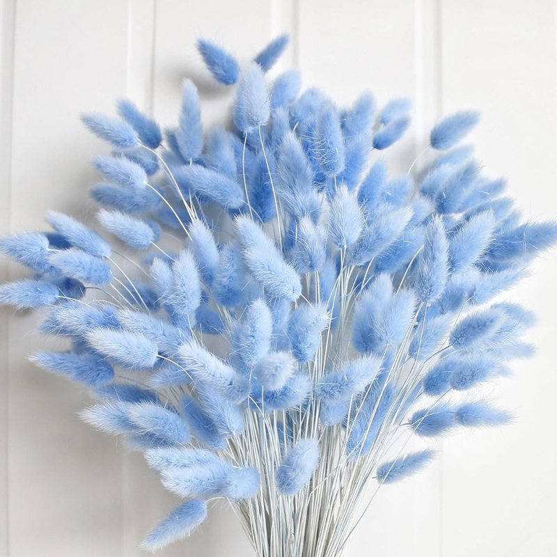 100PCS Blue Hare's-tail Grass  - огляд і ціна Dried Flower Bouquet